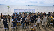 Jaga Pesisir, PT ITA dan Pemkab Siak Tanam 5.000 Mangrove