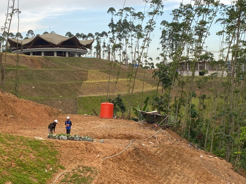 Sejumlah pekerja tampak bekerja di proyek IKN Nusantara