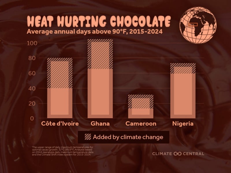 Jumlah hari dengan suhu di atas 32 derajat Celsius naik di negara-negara produsen kakao/Dok. Climate Central