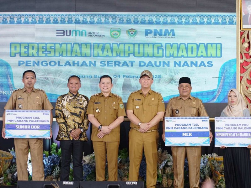 Kampung Madani PNM Hadir di Tanjung Bunut, Bantu UMKM Olahan Nanas