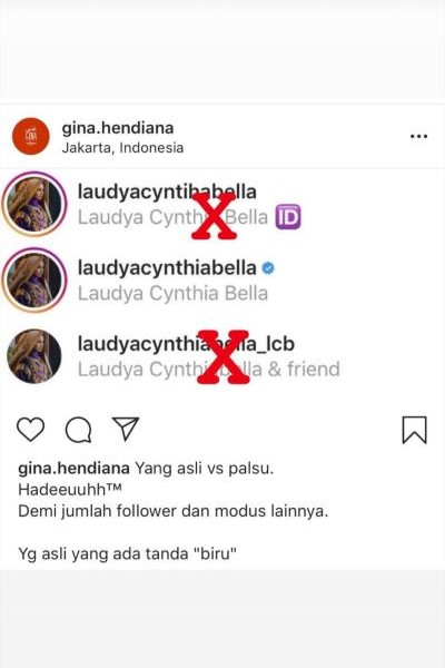 Akun Instagram Dipalsukan, Begini Reaksi Laudya Cynthia Bella