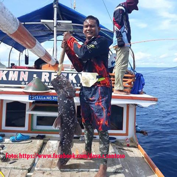 Ikan Purba Ditemukan di Raja Ampat. Beda dengan Coelacanth  di Manado