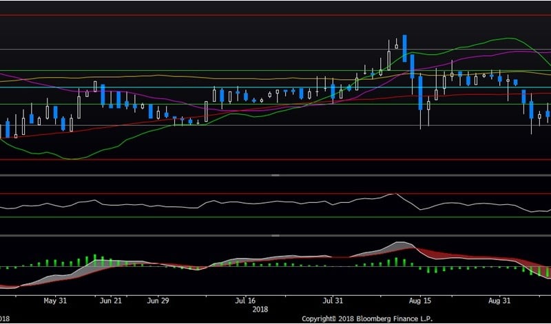 Ekspansi Gerai Baru Topang Kinerja Saham ACES