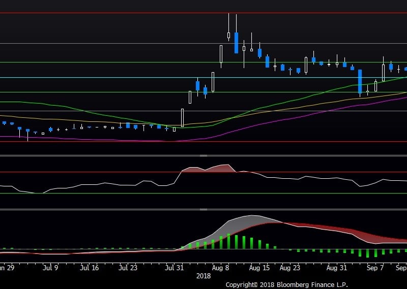 Penjualan Kapal Tongkang Belum Gairahkan Saham RIGS