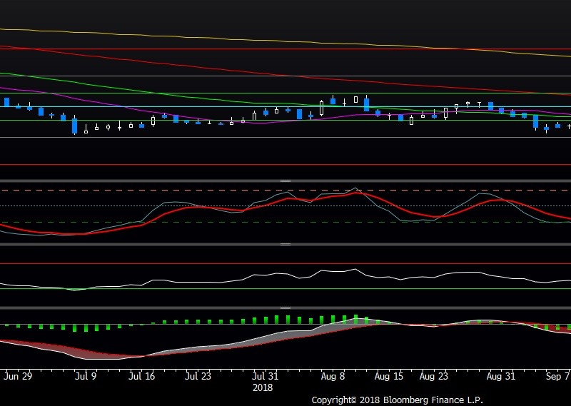 Saham WTON Masih Dalam Fase Bearish