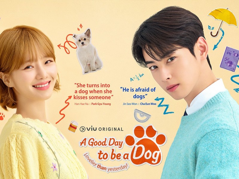 Drama A Good Day To Be A Dog - Viu
