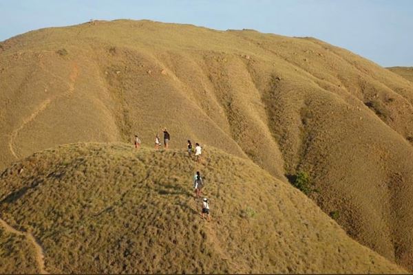 Gili Lawa Taman Nasional Komodo Terbakar Gara-gara Kelalaian ‘Tour Leader'?