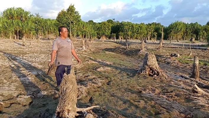 Geopark Tebat Rasau Terancam Punah oleh Penambangan Timah