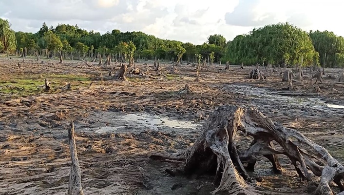 Geopark Tebat Rasau Terancam Punah oleh Penambangan Timah