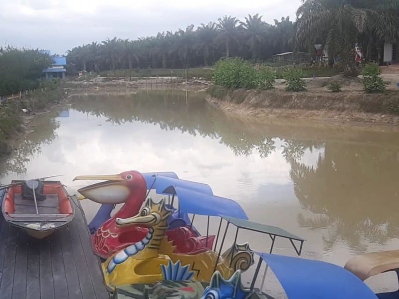 KESEJAHTERAAN PETANI : Melampaui Sawit Berkelanjutan 