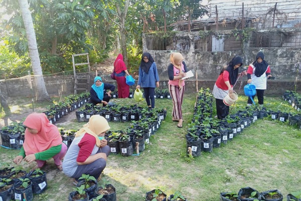 Peserta Gerakan Wanita Matilda di Gunung Samarinda melakukan penyiraman, pemantauan dan pencatatan bibit cabai. /Bisnjs-Istimewa