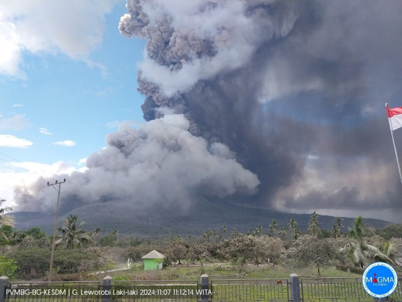 Foto-foto Letusan Gunung Lewotobi Hari Ini, Kamis 7 November 2024