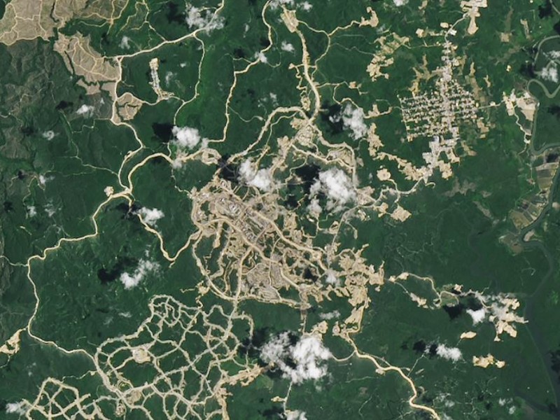 NASA merilis foto satelit kondisi hutan di Kalimantan setelah adanya pembangunan massif di IKN - Dok.NASA