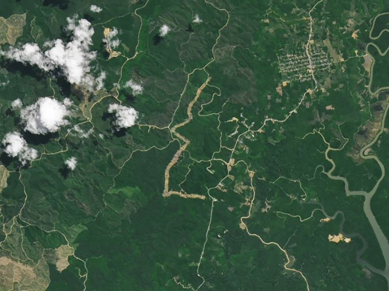 NASA merilis foto satelit kondisi hutan di Kalimantan sebelum adanya pembangunan massif di IKN - Dok.NASA