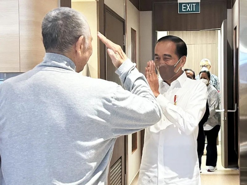 jokowi menemui Luhut Binsar Panjaitan