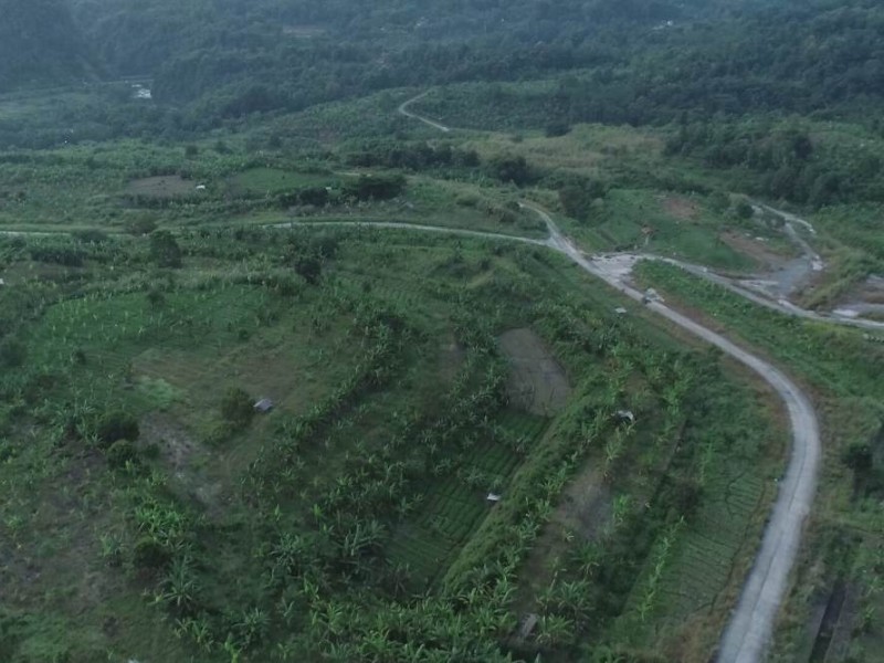 Suasana perkebunan dan sawah sekitar Waduk Jatigede, kehadiran Waduk Jatigede membantu sistem pengairan bagi pertanian dan perkebunan warga sekitar Jatigede, Sumedang, Jawa Barat, Sabtu (11/5/2024) - Bisnis/Muhammad Olga