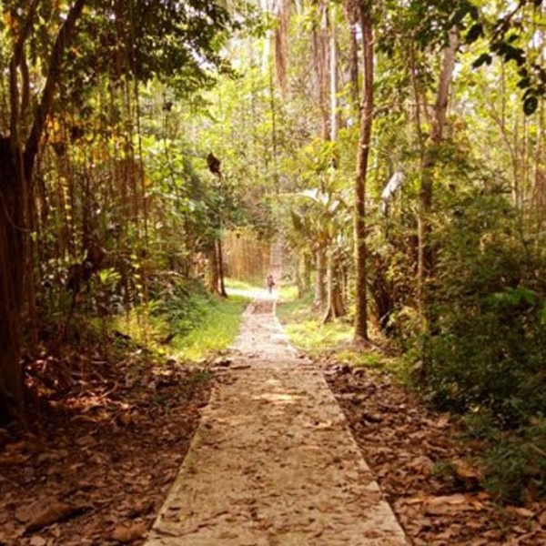 Gua Maria Bukit Kanada, Destinasi Ziarah & Wisata Religi Teduh di Rangkasbitung