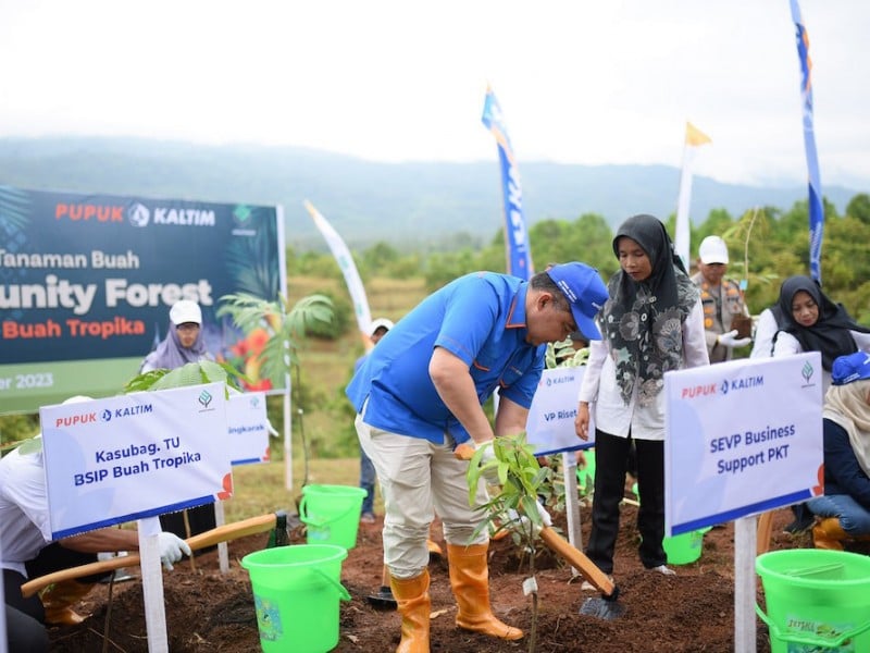 PT Pupuk Kalimantan Timur (Pupuk Kaltim) menjalin kerja sama program Community Forest bersama Badan Standardisasi Instrumen Pertanian (BSIP) Kementerian Pertanian melalui Balai Pengujian Standar Instrumen (BPSI) Tanaman Buah Tropika./JIBI-Istimewa