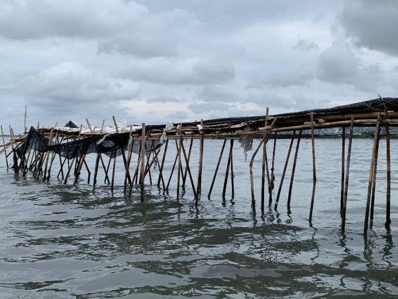 Pagar laut di Banten