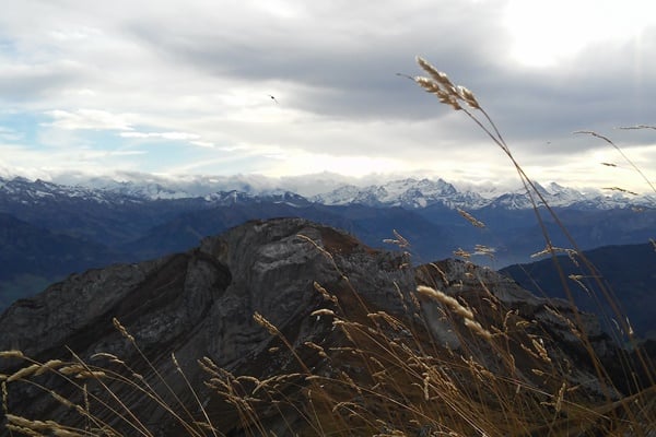 Perjalanan ke Gunung Pilatus dan Melihat Alpen Lebih Dekat