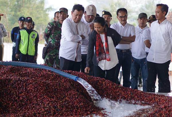 Kopi Arabica PTPN XII Diekspor ke AS, Eropa, hingga Arab Saudi