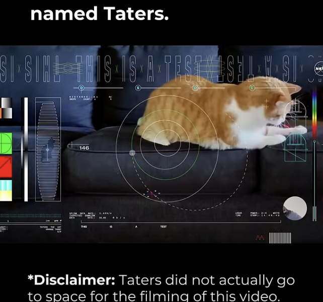 Tangkapan layar video kucing yang dikirim NASA/dok. YouTube