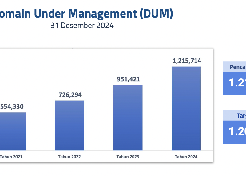 Jumlah pengguna domain 2021-2024