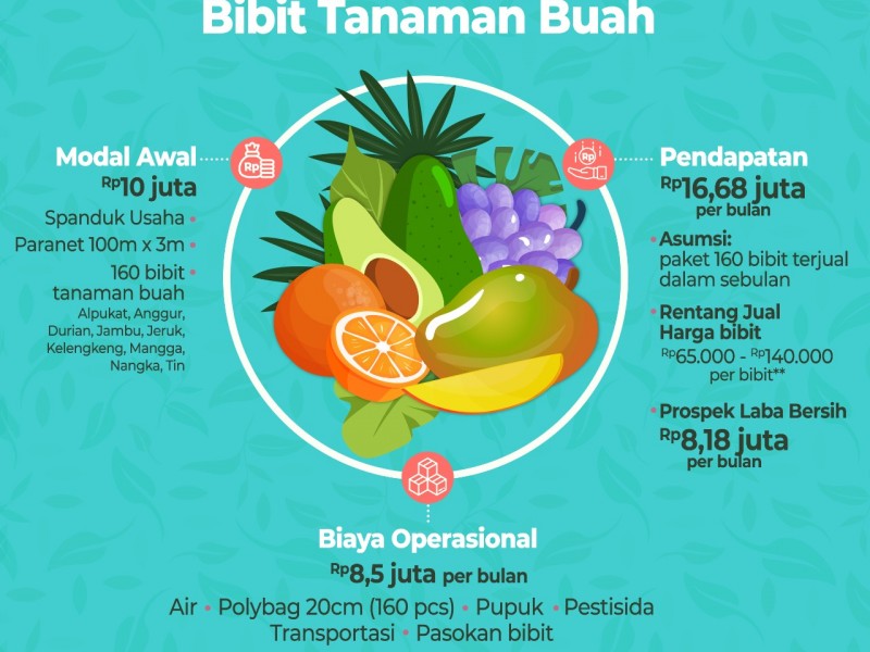 Tips Bisnis Tanaman Buah