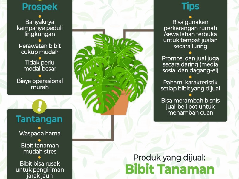 tips bisnis tanaman hias