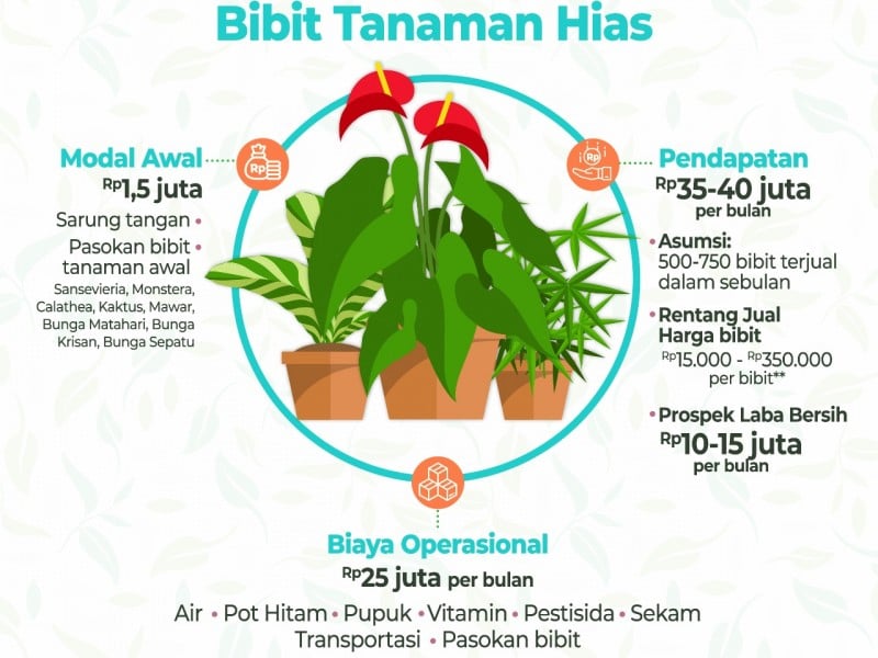 bisnis tanaman hias