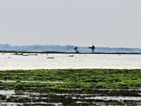 Wisata Alas Purwo, Eksotika Ujung Timur Pulau Jawa