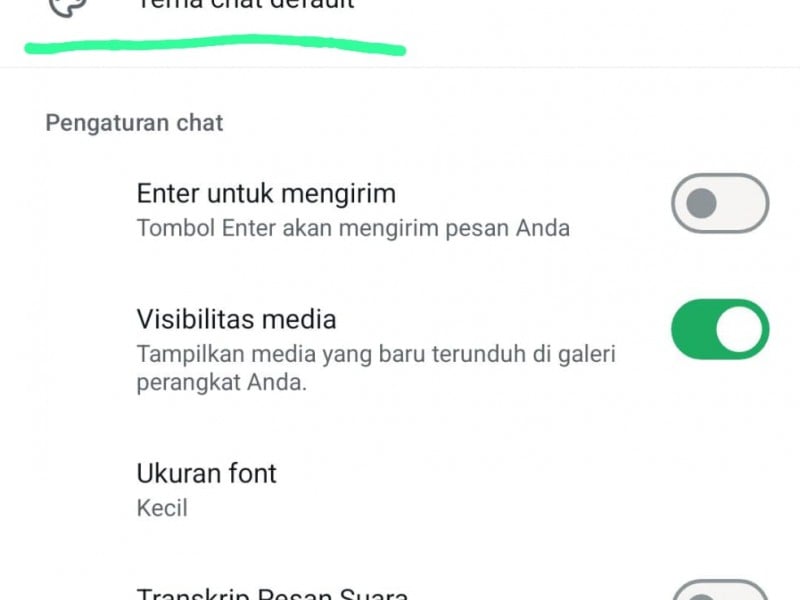 Cara Mengubah Tema dan Latar Belakang Chat WhatsApp, Fitur Baru!