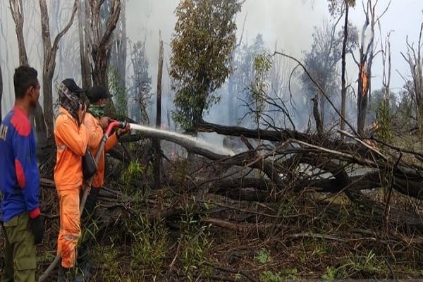 Foto 138,16 Hektare Taman Nasional Danau Sentarum Hangus Terbakar