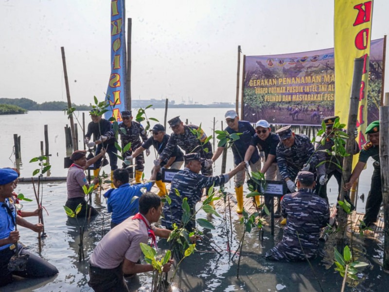 Kolaborasi Konservasi Bakau untuk Wisata Pesisir dan Pelabuhan