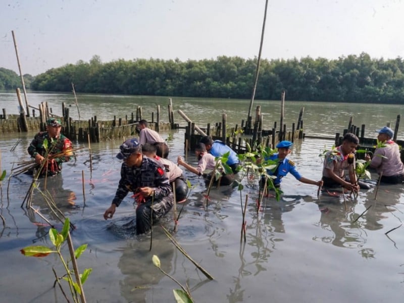 Kolaborasi Konservasi Bakau untuk Wisata Pesisir dan Pelabuhan