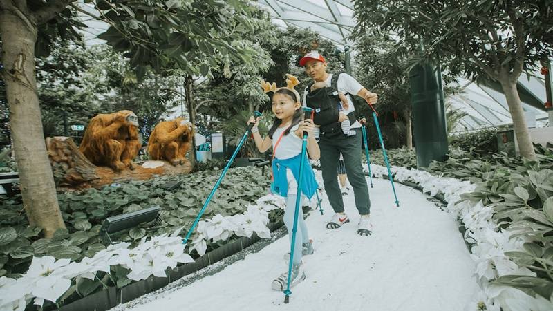 Bandara Changi Sajikan Frozen Wonderland