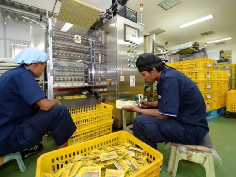 Pekerja memilah sachet Tolak Angin di bagian pengemasan pabrik PT Industri Jamu Dan Farmasi Sido Muncul Tbk. (SIDO) di Semarang, Jawa Tengah, Indonesia, Senin (10/2/2014). Bloomberg/Dimas Ardian