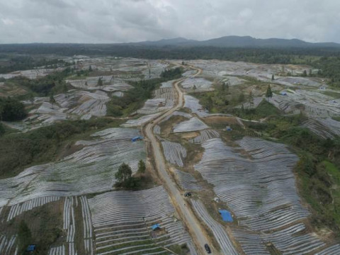 Kawasan food estate di Kab. Humbang Hasundutan. - Istimewa/Diskominfo Sumut
