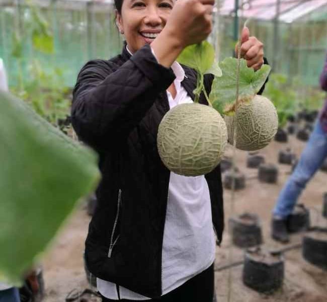 BERITA FOTO : Kunjungan Pertama Rini Soemarno ke Freeport, Melihat Grasberg Mine, Tambang Underground, Hingga 'Panen' Melon  