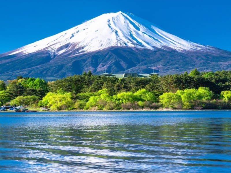 Bukan Cuma Punya Negara, Ternyata Ini Sosok Pemilik Puncak Gunung Fuji di Jepang