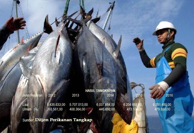 Di Indonesia, Tangkap Ikan 1 Ton Lapor 10 Kg?  