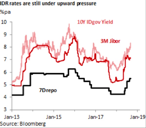 DBS: Domestik Menguntungkan, Indonesia Terjebak Emerging Market Sell-off