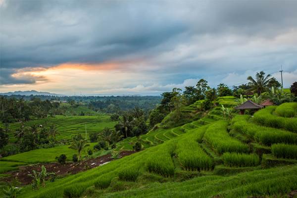 15 Magnet Dunia di Indonesia, Cek di Sini