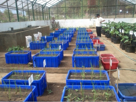 1720693976_0714ebfb-2fdb-4da4-b6b4-cc7778756898.