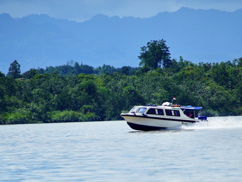 Speed boat sebagai salah satu sarana transportasi di Pulau Derawan