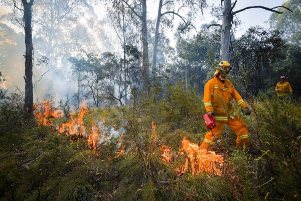 Di Balik 'Liarnya' Kebakaran Hutan Australia