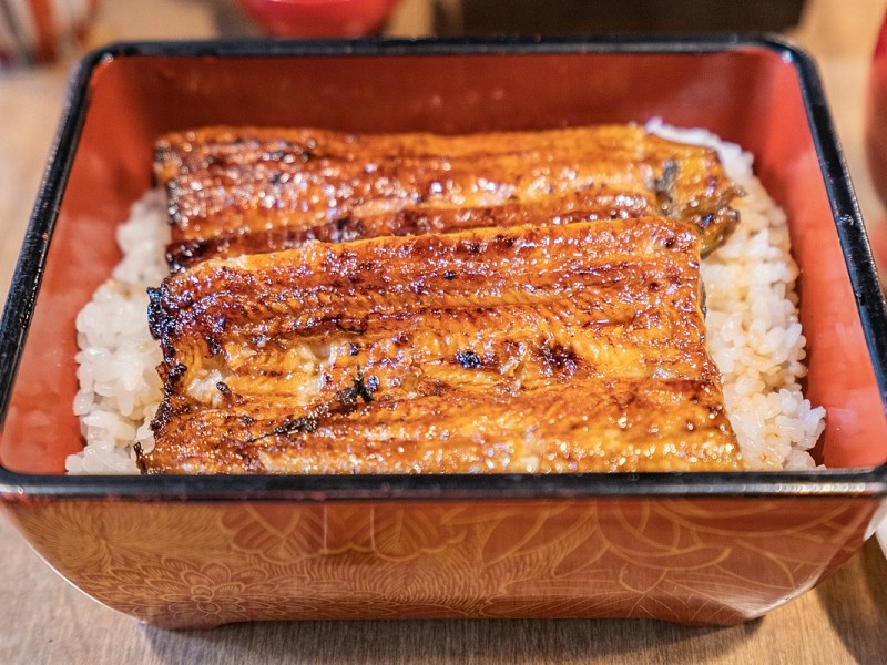 ikan sidat unagi jepang