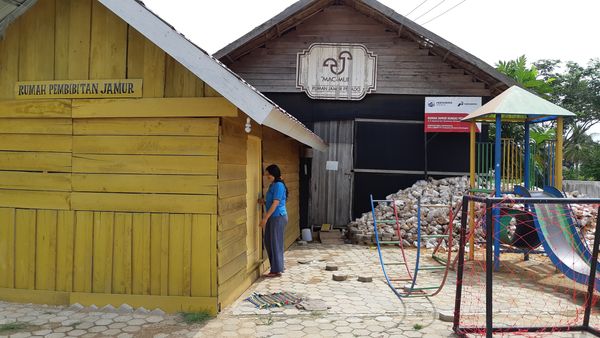 Menuju Makmur Berkat Budidaya Jamur