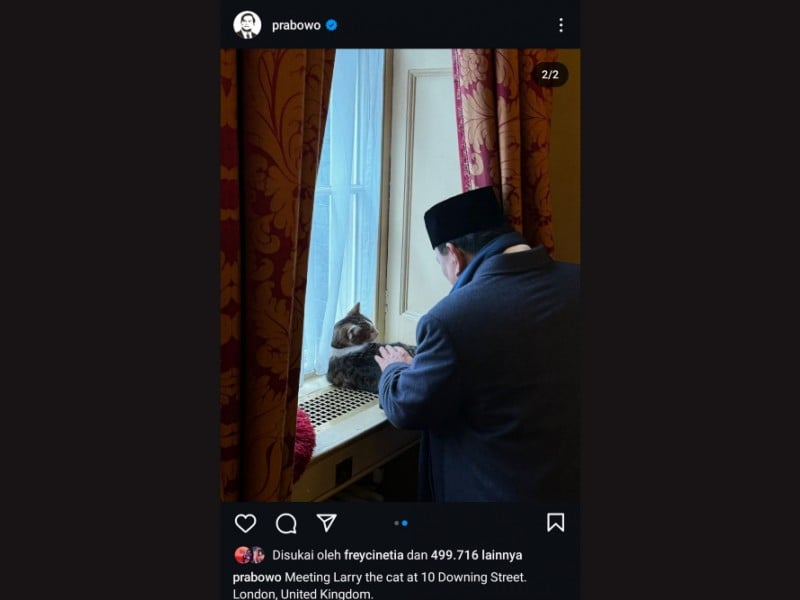 Prabowo dan Wakil PM Inggris Angela Saling Pamer Kucing Peliharaan