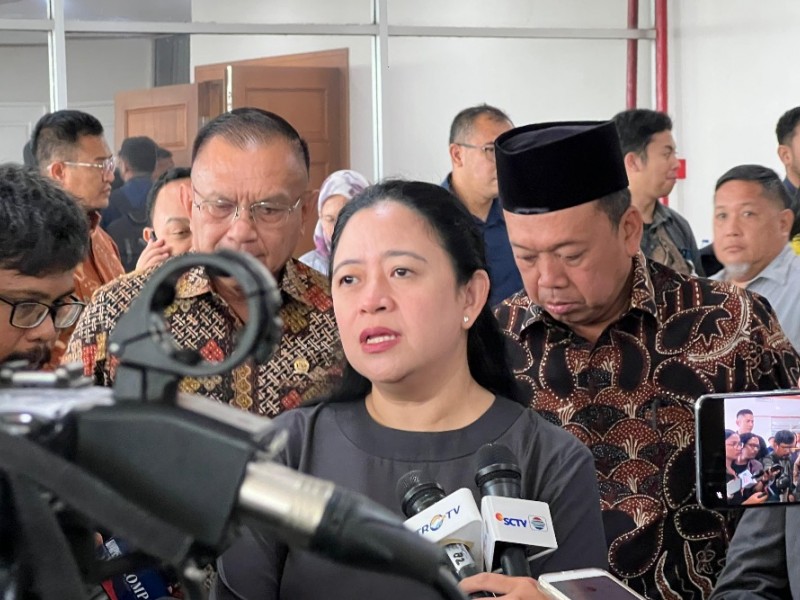 Ketua DPP PDIP Puan Maharani/Dok-Bisnis